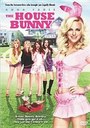 House Bunny